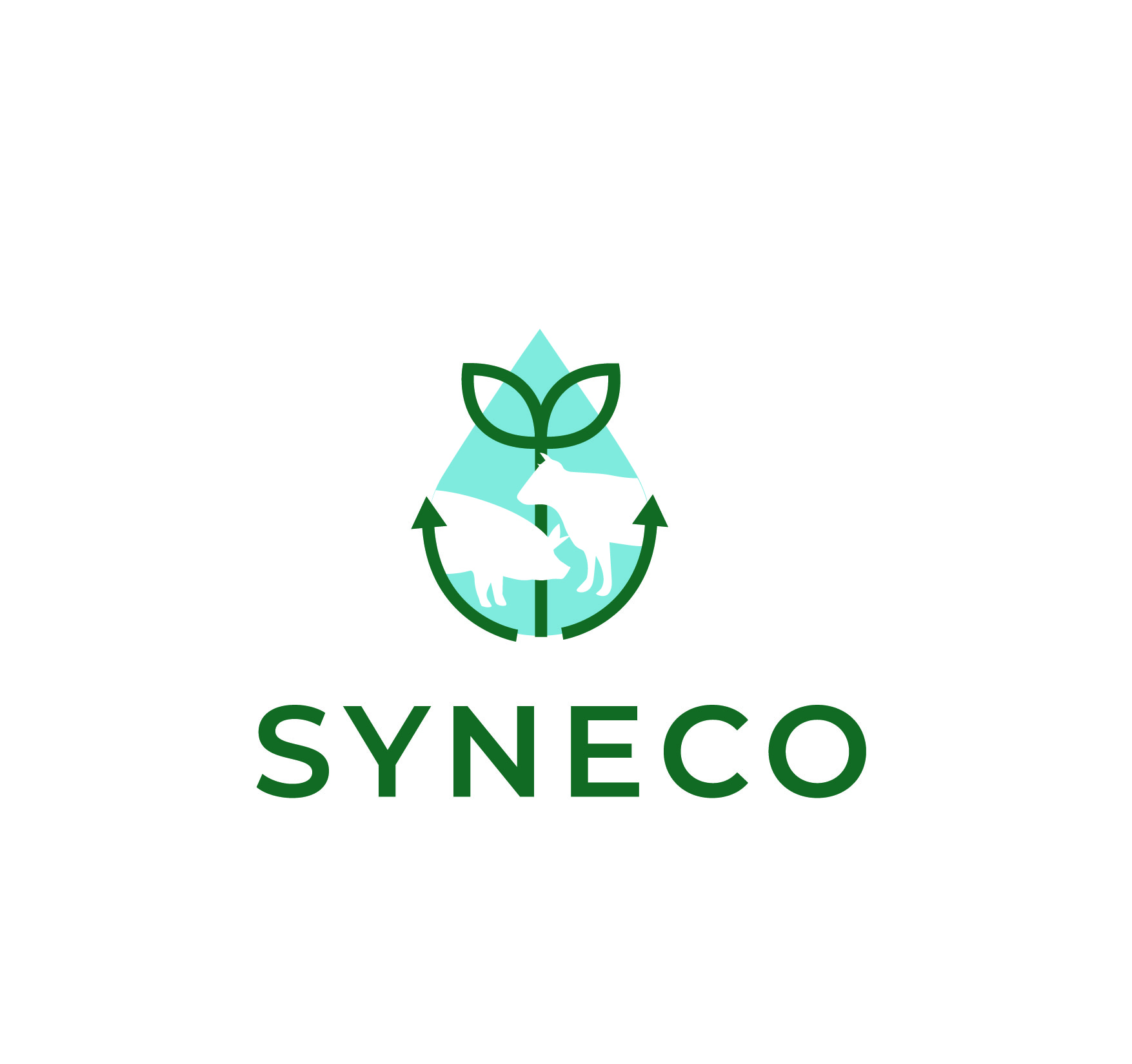 SYNECO