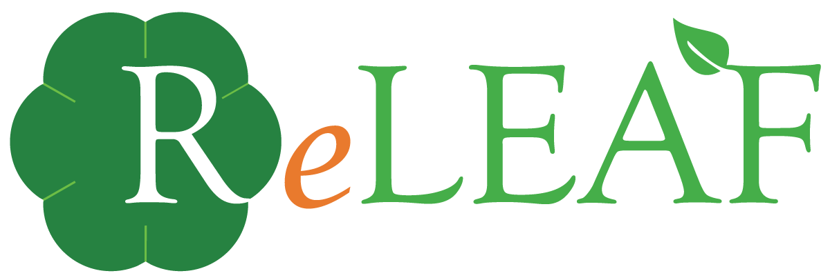 Reflow Logo highres